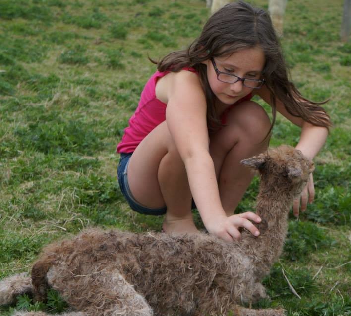 Madeline with cria